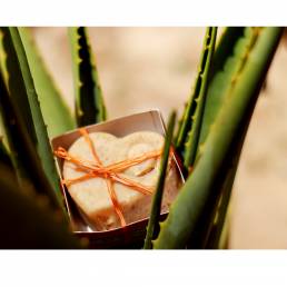 Aloe soap MM