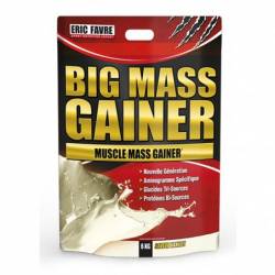 ERIC FAVRE BIG MASS GAINER 6KG